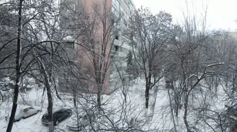 Wind Heavily Blows Trees Video stock 11863265