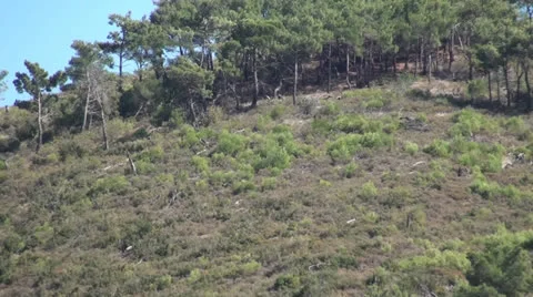 Wind on the Hill Видео 23019957