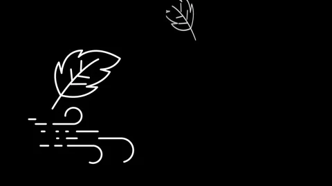 Wind icon animation Stock Footage 315181733