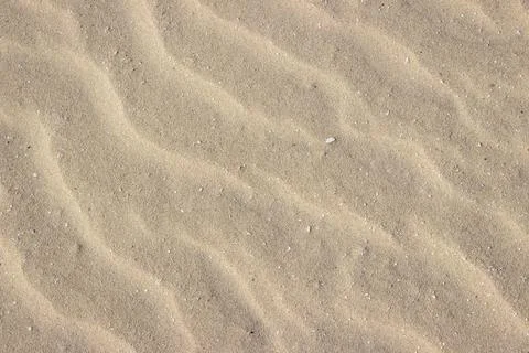 By wind influenced sand on the beach Stock Photos
