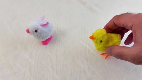 Wind-Up Jumping Bunny and Chick Toys Review Vídeos de archivo 327587003