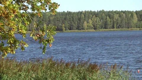 Wind on the lake. The blue surface of the water, cloudy sky Stock Footage 104511215