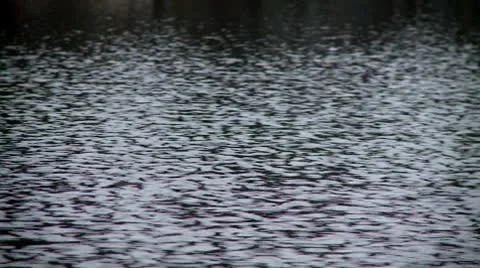 Wind on a lake Stock Footage 8853774