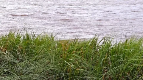 Wind on the lake. Stock Footage 115061024