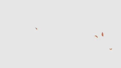 Wind Leaf Elements Motion Graphics Pack Stock Footage 243705746