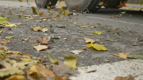 Wind Leaves On Street Stock Footage 57307597