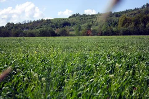 Wind on log 스톡 사진