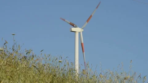 Wind machine and field Stock Footage 196293799