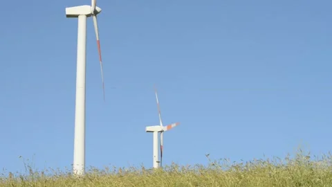 Wind machine and field Stock Footage 196293811