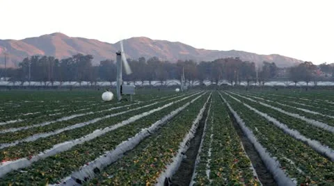 Wind Machines Stock-Footage 21441671