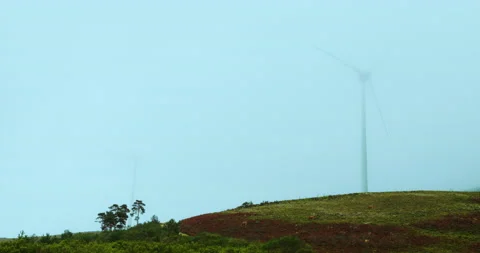 Wind machines producing alternative energy in foggy morning. Turbines rotating Stock Footage 222730732