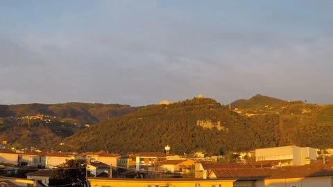 Wind makes trees move up a hill during sunset Stock Footage 125393268