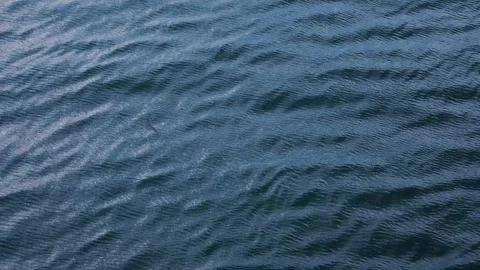 Wind Making blue ripples on large water mass. Vídeo Stock 109102195
