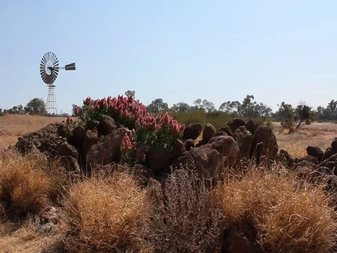 WIND MILL WITH FLOWERS Stock Footage 100386112