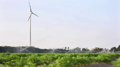 Wind mill turbine at field with automatic irrigation system background slowmo Stock Footage 79638188