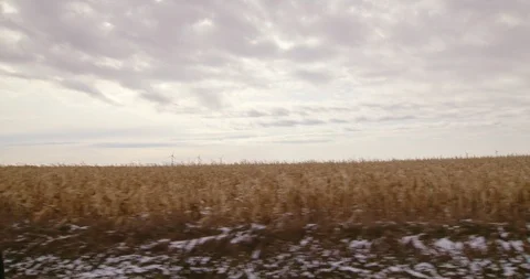 Wind mills behind corn field Stock Footage 120590257