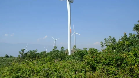 Wind Mills 動画素材 137626619