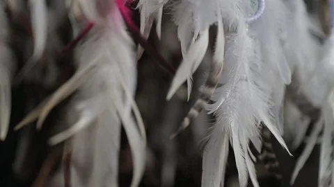 Wind move feathers and fluff in souvenir shop filmed in slow motion.mp4 Stock Footage 116007250