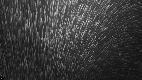 Wind Movement Animation Black Background, Loop Video Stock Footage 310368357