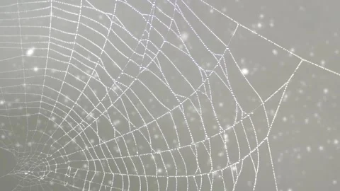 Wind moves a clean beautiful spider web shining against the sunlight - particles Stock Footage 150501939