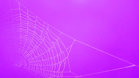 Wind moves a clean beautiful spider web shining against the sunlight - particles Stock Footage 150515167