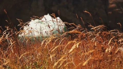 Wind moves dry grass with a Cave on the Background Stock Footage 124909931