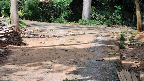 Wind moves everything Stock Footage 291223413