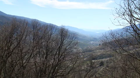 Wind moves leafless tree branches in large valley vantage point Stock Footage 49652584