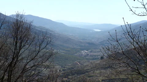 Wind moves leafless tree branches in large valley vantage point Stock Footage 49652608