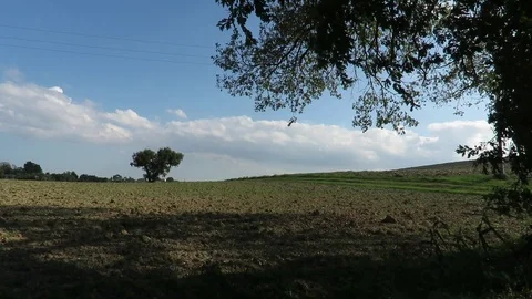 The wind that moves the leaves Stock Footage 117337507