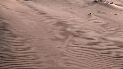 Wind moves the sand in the desert Stock Footage 67251833