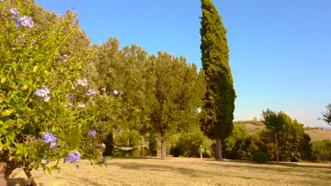 The wind moves the vegetation Stockbeeldmateriaal 140395324