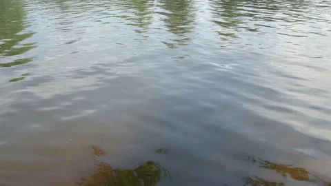 The wind moves the water in a river Stock Footage 138092191