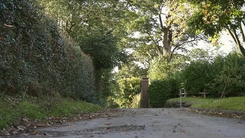 Wind moving leaves and branches of trees. View on entrance gate area of mansion. Stock Footage 79833833
