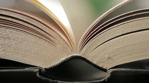 Wind moving the pages of a book Stock-Footage 54596304