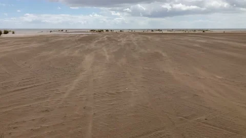 Wind moving sand on the beach Stock Footage 221767923