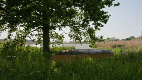 Wind moving through lakeside grass beneath tree in calm rural landscape Vídeos de archivo 335838173