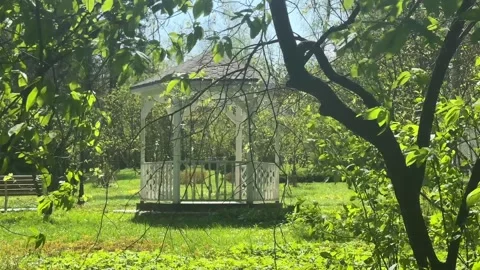 Wind Moving Tree Branches Around Gazebo in Spring Park Footage Stock Footage 334333606