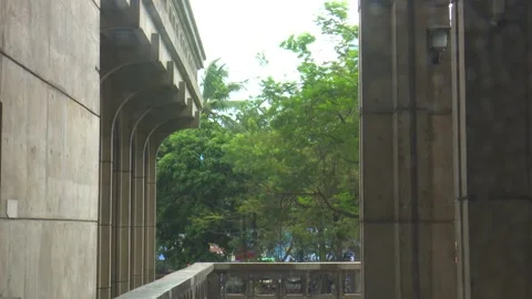 Wind Moving Trees in Soft Motion Stockbeeldmateriaal 321466334