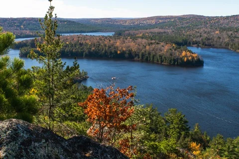 Wind on northern lake Stock Footage 128667317