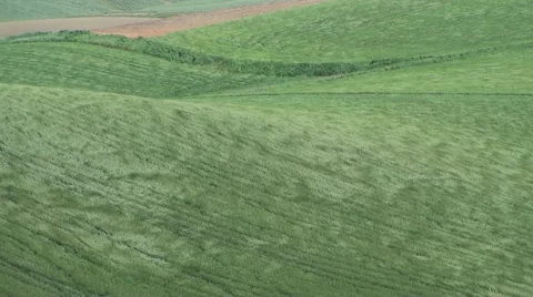 Wind over wheat fields and hills of Molise 스톡 동영상 62500749