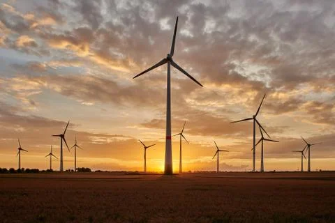 Wind park on sunset Stock Photos