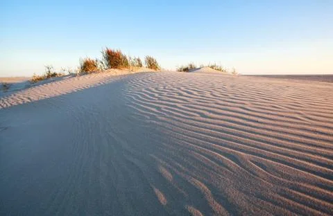 Wind pattern on sand dune Stock Photos