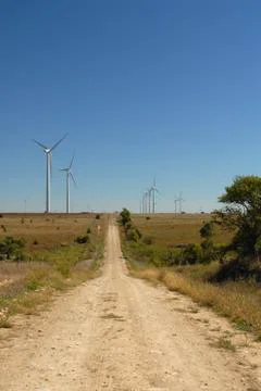 Into The Wind Stock Photos