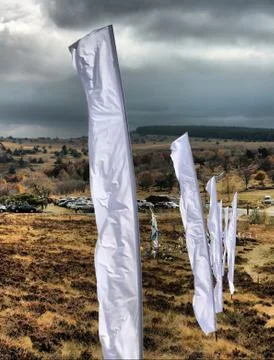 The wind Stock Photos