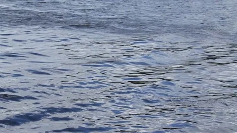 The wind picks up and moves the waves on the water surface. Stock Footage 83015535