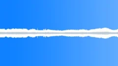 Wind pine trees 01 loop Sound Effect