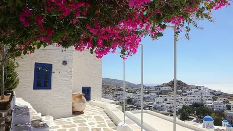 Wind playing with flower shrub on a terrace of traditional white house, Ios Stock Footage 74639999
