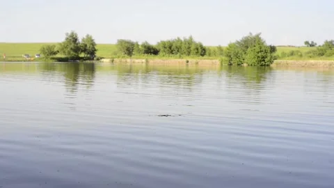 Wind is playing with the grass on the lake#2 Stock Footage 149272861