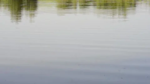 Wind is playing with the water Stock Footage 149272845
